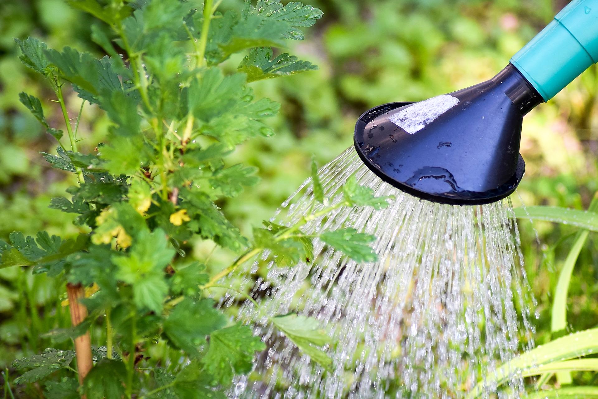 Waarderende gemeenteopbouw: geloofsgemeenschappen vormgeven aan de hand van het gezamenlijk verlangen. Inspireren, verbinden, een andere aanpak